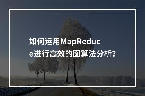如何运用MapReduce进行高效的图算法分析?