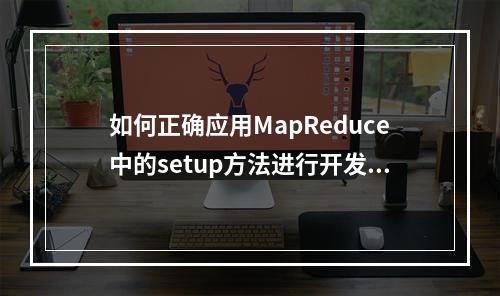 如何正确应用MapReduce中的setup方法进行开发?