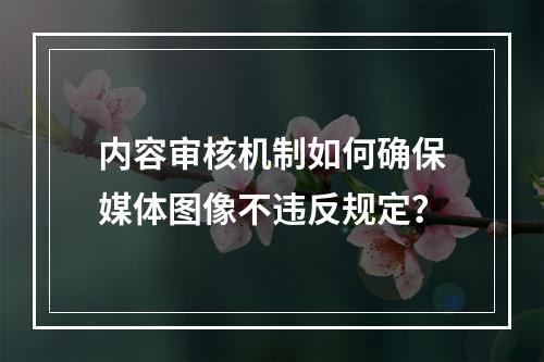 内容审核机制如何确保媒体图像不违反规定?