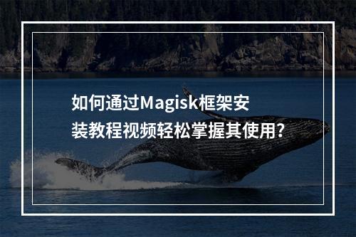 如何通过Magisk框架安装教程视频轻松掌握其使用?