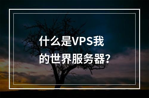 什么是VPS我的世界服务器?