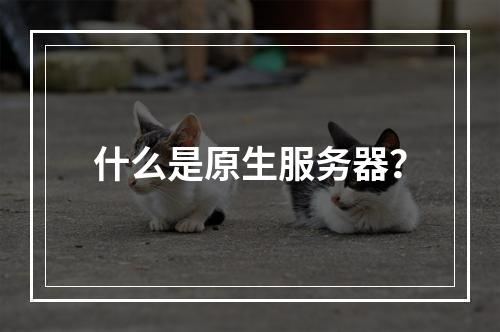什么是原生服务器?