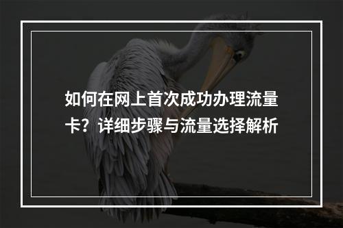 如何在网上首次成功办理流量卡?详细步骤与流量选择解析