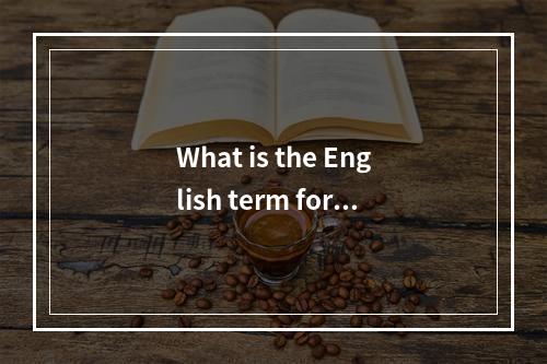 What is the English term for server hardware?