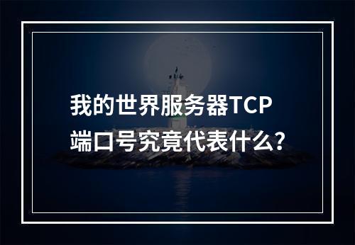 我的世界服务器TCP端口号究竟代表什么?