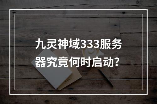 九灵神域333服务器究竟何时启动?