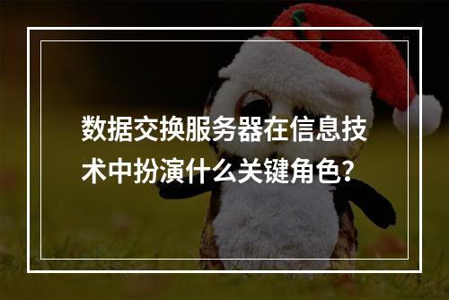 数据交换服务器在信息技术中扮演什么关键角色?