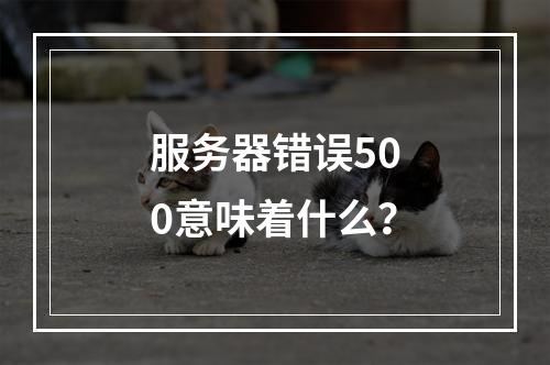 服务器错误500意味着什么?