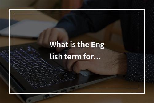 What is the English term for a universal dualpath server?