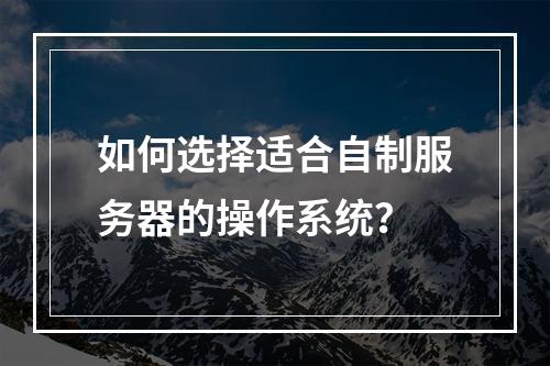 如何选择适合自制服务器的操作系统?