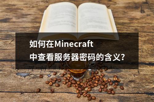 如何在Minecraft中查看服务器密码的含义?