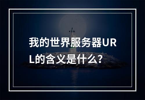 我的世界服务器URL的含义是什么?