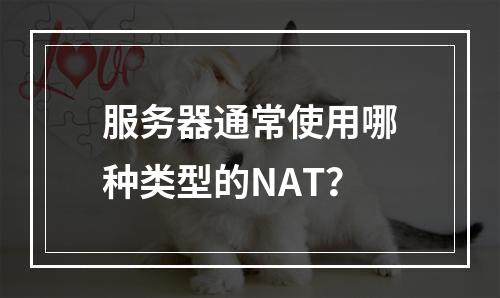 服务器通常使用哪种类型的NAT?