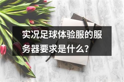 实况足球体验服的服务器要求是什么?