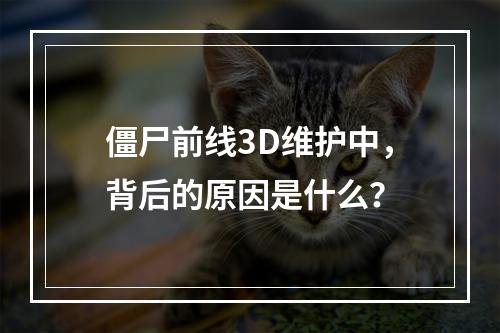 僵尸前线3D维护中,背后的原因是什么?