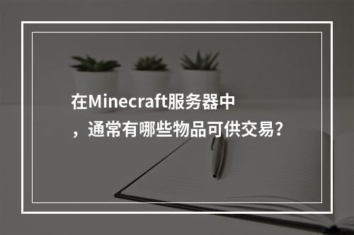 在Minecraft服务器中,通常有哪些物品可供交易?