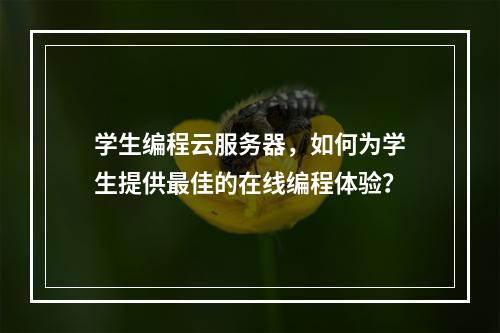 学生编程云服务器,如何为学生提供最佳的在线编程体验?