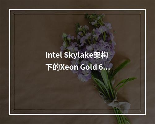 Intel Skylake架构下的Xeon Gold 6161_x86 V5实例性能如何?