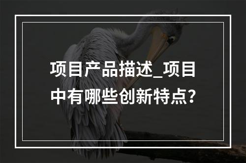 项目产品描述_项目中有哪些创新特点?