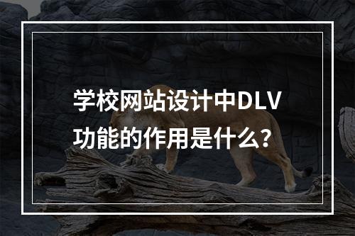 学校网站设计中DLV功能的作用是什么?