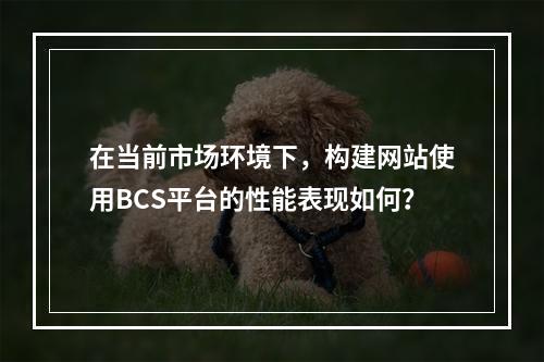 在当前市场环境下,构建网站使用BCS平台的性能表现如何?