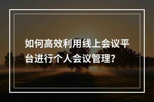 如何高效利用线上会议平台进行个人会议管理?