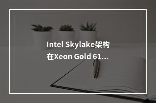 Intel Skylake架构在Xeon Gold 6161_x86 V5实例中的性能表现如何?