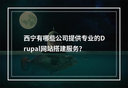 西宁有哪些公司提供专业的Drupal网站搭建服务?