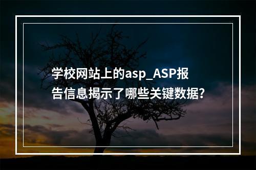学校网站上的asp_ASP报告信息揭示了哪些关键数据?