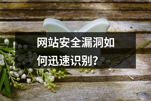 网站安全漏洞如何迅速识别?
