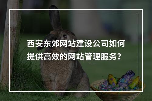 西安东郊网站建设公司如何提供高效的网站管理服务?