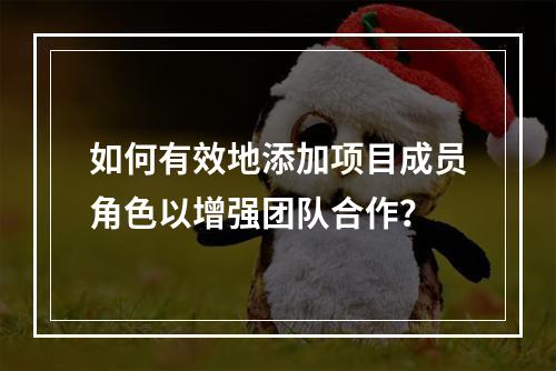 如何有效地添加项目成员角色以增强团队合作?