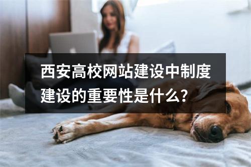 西安高校网站建设中制度建设的重要性是什么?