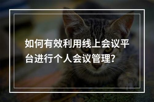 如何有效利用线上会议平台进行个人会议管理?