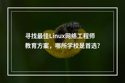 寻找最佳Linux网络工程师教育方案,哪所学校是首选?