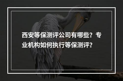 西安等保测评公司有哪些?专业机构如何执行等保测评?