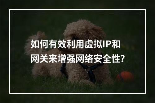 如何有效利用虚拟IP和网关来增强网络安全性?