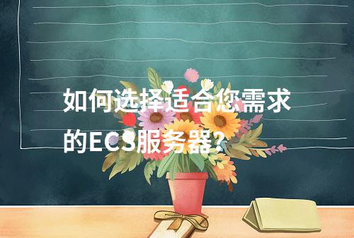 如何选择适合您需求的ECS服务器?
