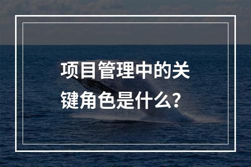 项目管理中的关键角色是什么?