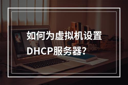 如何为虚拟机设置DHCP服务器?