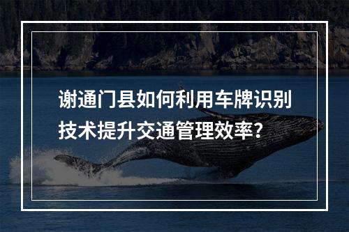 谢通门县如何利用车牌识别技术提升交通管理效率?