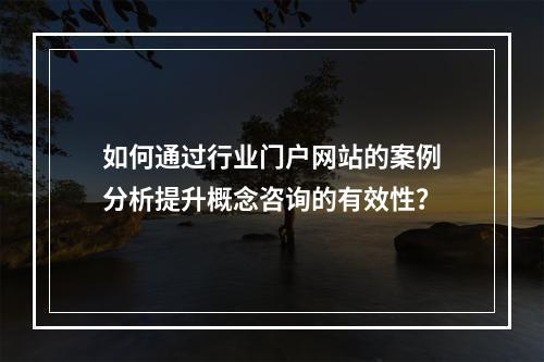 如何通过行业门户网站的案例分析提升概念咨询的有效性?