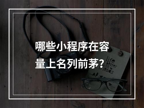 哪些小程序在容量上名列前茅?