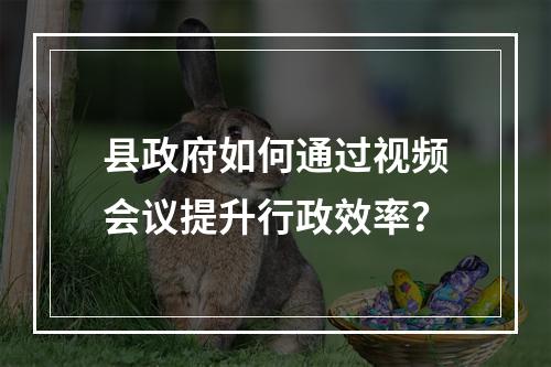 县政府如何通过视频会议提升行政效率?