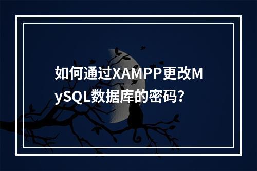 如何通过XAMPP更改MySQL数据库的密码?