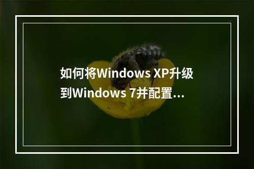 如何将Windows XP升级到Windows 7并配置网络设置?