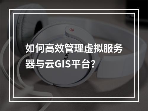 如何高效管理虚拟服务器与云GIS平台?