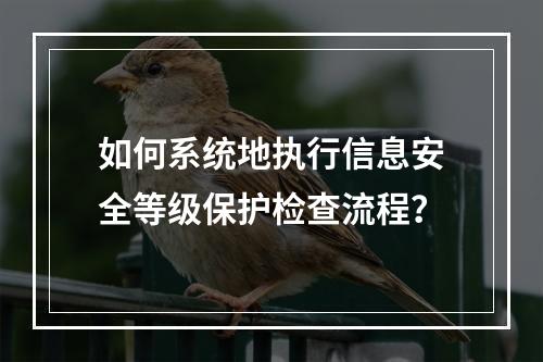如何系统地执行信息安全等级保护检查流程?