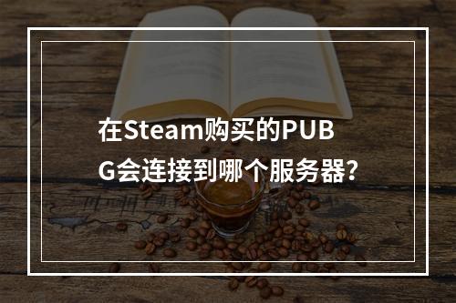 在Steam购买的PUBG会连接到哪个服务器?
