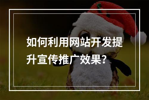 如何利用网站开发提升宣传推广效果?